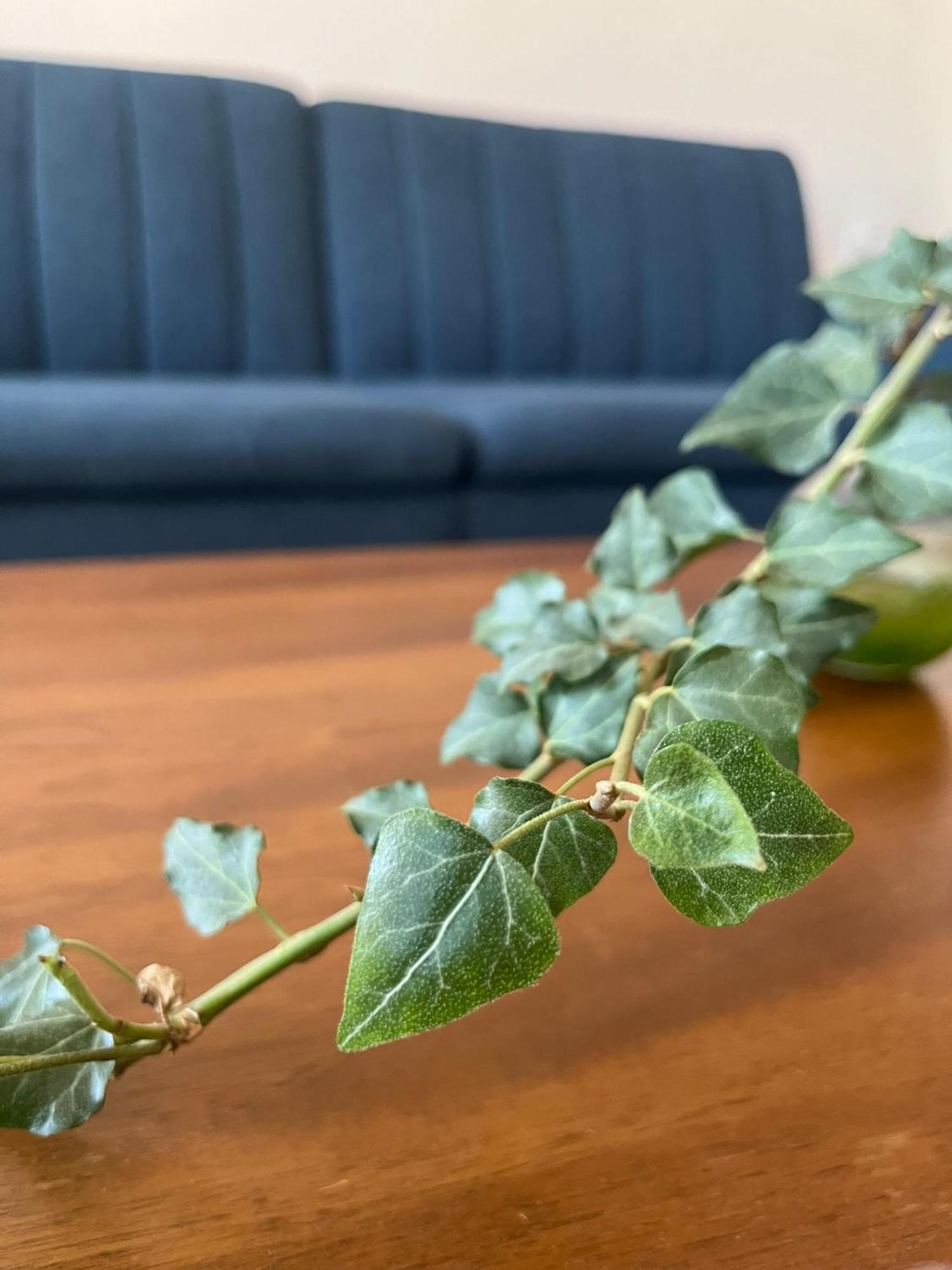 Mz Apartment Néa Péramos Dış mekan fotoğraf